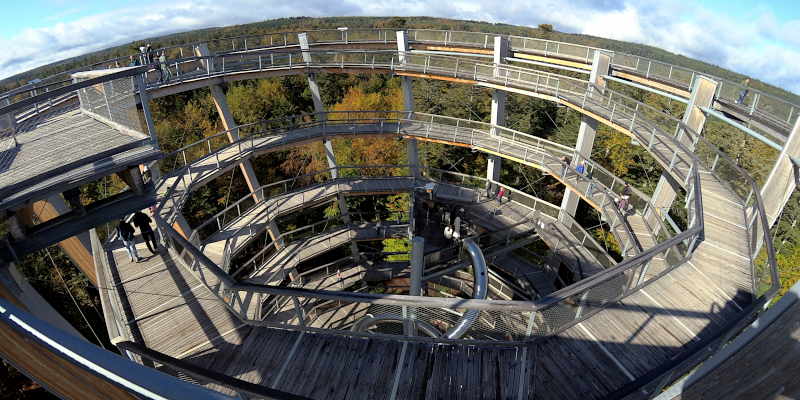 Aussichtsturm Baumwipfelpfad
