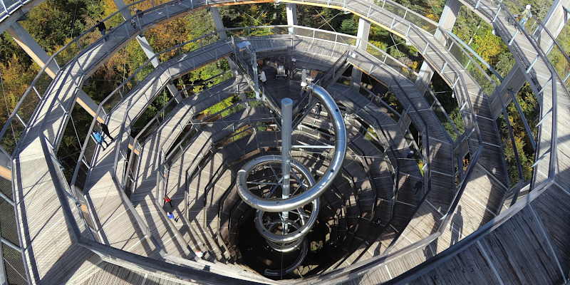 Aussichtsturm Baumwipfelpfad
