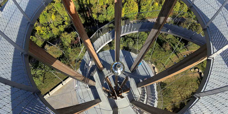 Schönbuchturm
